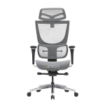 Ghế Công Thái Học Ergonomic ErgoStuhl Fenix 8 Pro - Test thumb 1