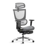 Ghế Công Thái Học Ergonomic ErgoStuhl Fenix 8 Pro - Test thumb 4