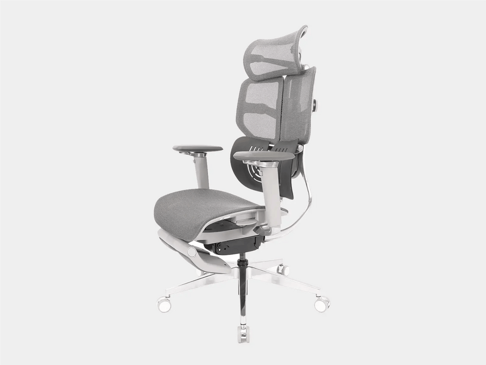 Ghế Công Thái Học Ergonomic ErgoStuhl Fenix 8 Pro - Test